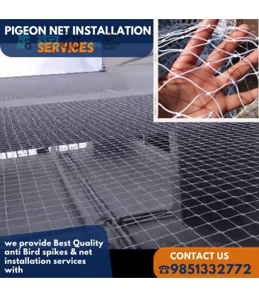 Bird Net Installation Service in Kathandu