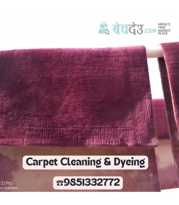 Carpet Cleaning & Dyeing Service
