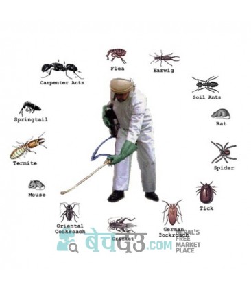 Pest Control Service in Kathmandu, Bhaktapur & Lalitpur.